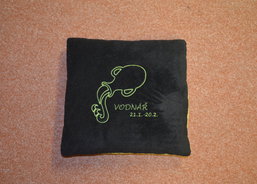 Polštář s výšivkou vodnář