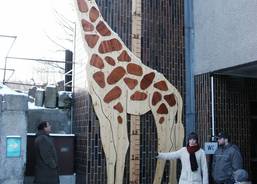 Dřevěná žirafa - ZOO Ostrava